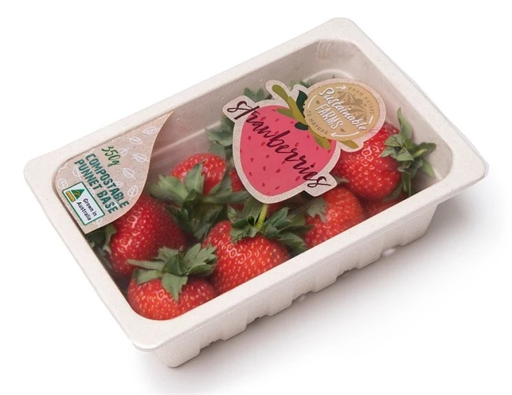 PVC/EVOH/PE Rigid Film For Meat Or Food Thermoforming Packing